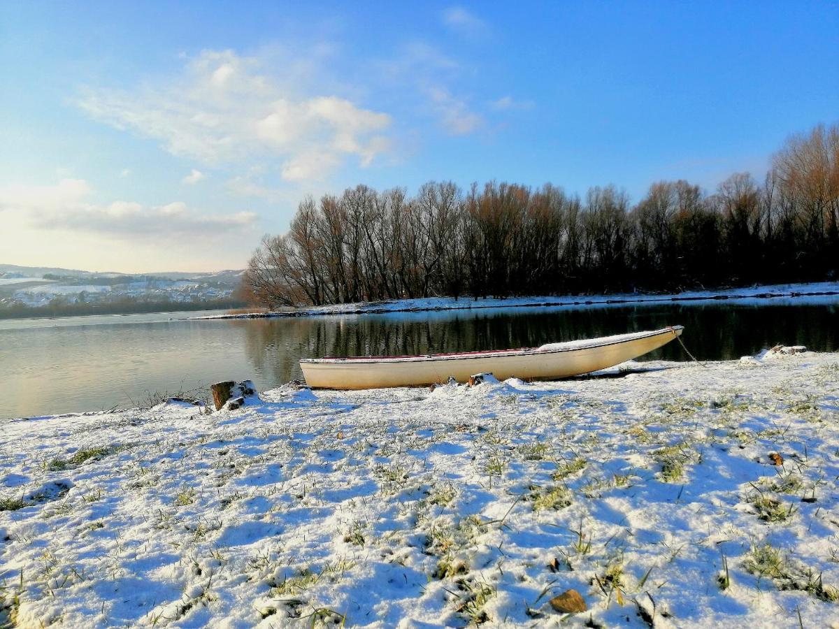 Danube Fairy Villa Futog Екстериор снимка