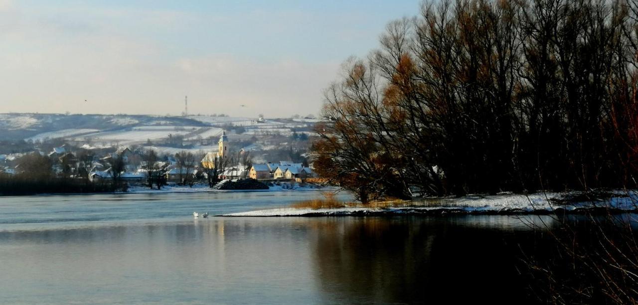 Danube Fairy Villa Futog Екстериор снимка