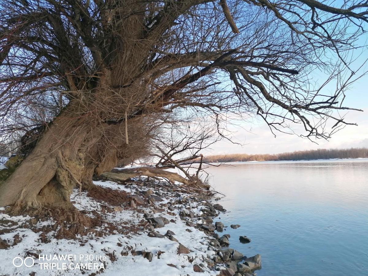 Danube Fairy Villa Futog Екстериор снимка