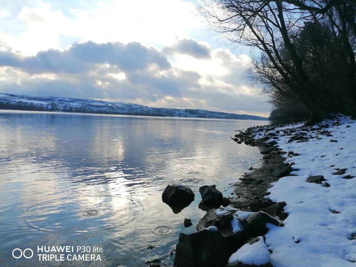 Danube Fairy Villa Futog Екстериор снимка