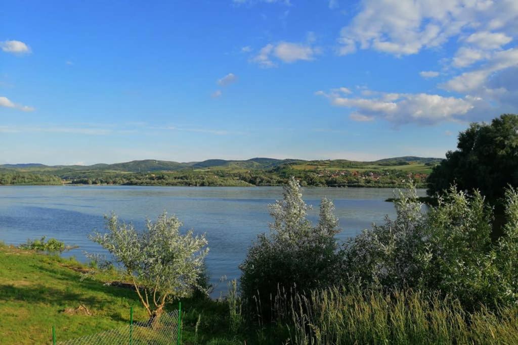 Danube Fairy Villa Futog Екстериор снимка