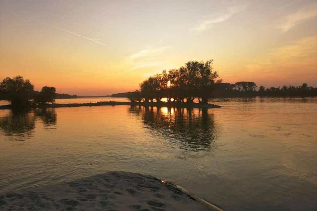 Danube Fairy Villa Futog Екстериор снимка