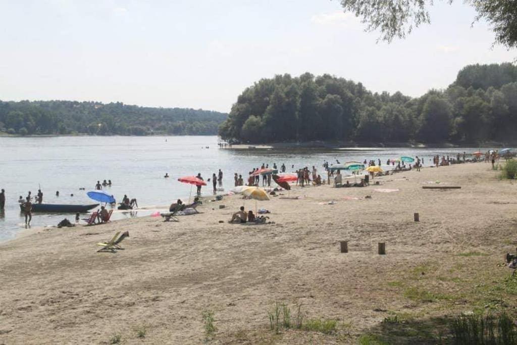 Danube Fairy Villa Futog Екстериор снимка